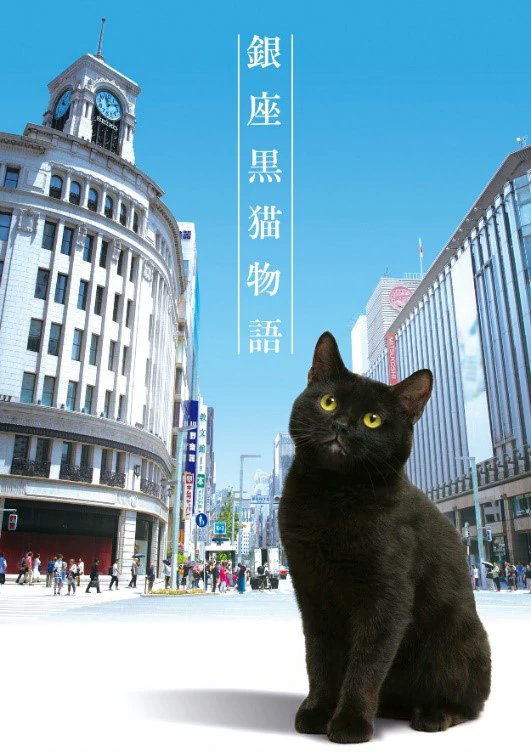 银座黑猫物语海报图片