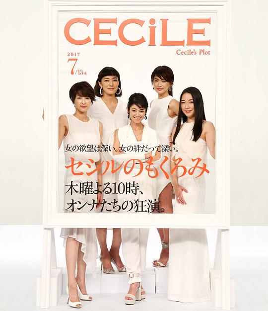 塞西尔的企图海报图片