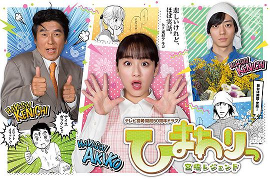 向日葵：宫崎传奇封面图