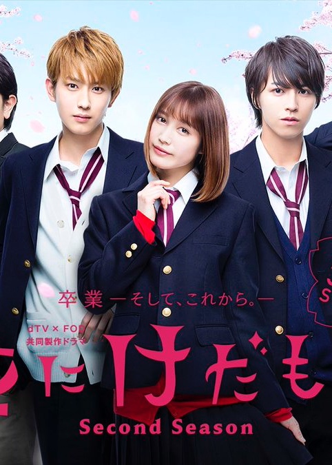 花予野兽 第二季封面图