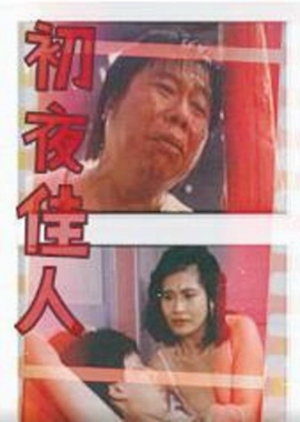 初夜佳人封面图