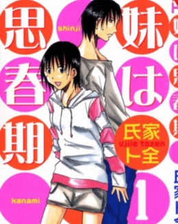 我的思春期妹妹封面图