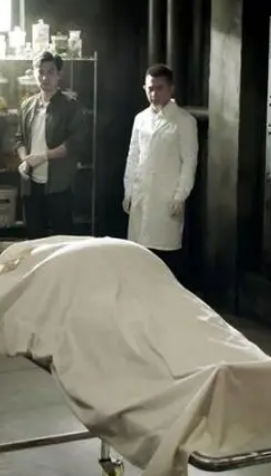 法医曝尸封面图