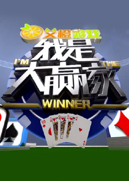 我是大赢家封面图