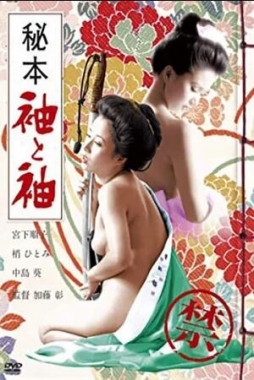 秘本袖与袖封面图