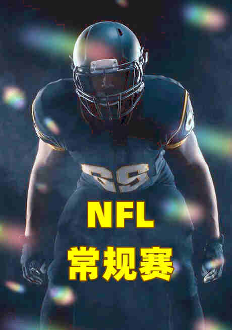 NFL常规赛第十周-雷霆vs尼克斯-20221114封面图