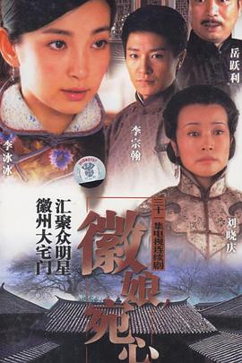 徽娘宛心封面图