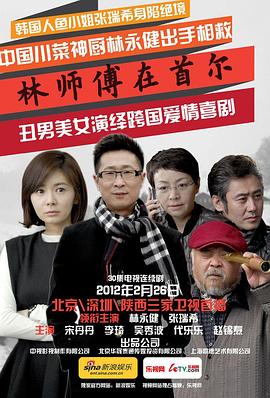 林师傅在首尔海报图片