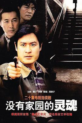 没有家园的灵魂封面图