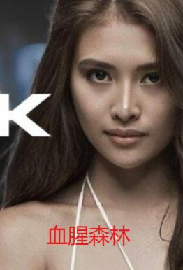 血腥森林封面图