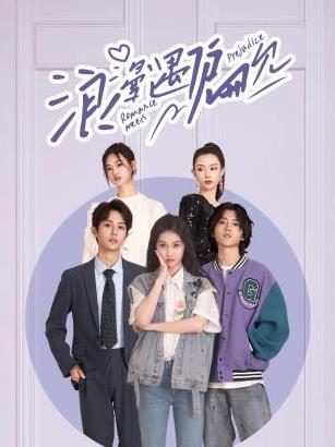 浪漫遇偏见封面图