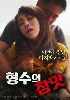 我和姐夫的情欲封面图