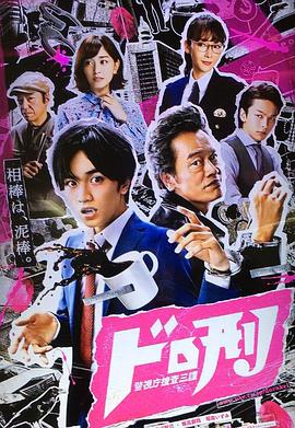 刑警与大盗封面图