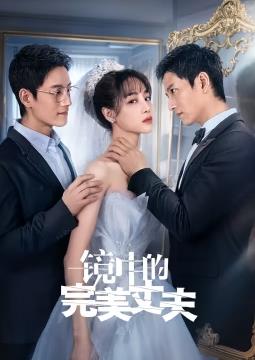 镜中的完美丈夫封面图