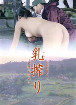 哭泣的牛封面图