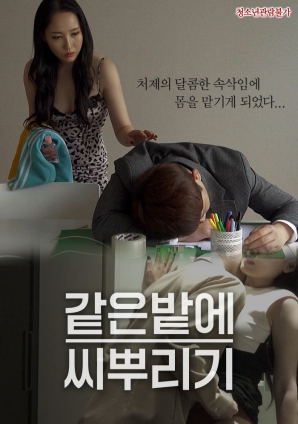 在同一块地播种封面图