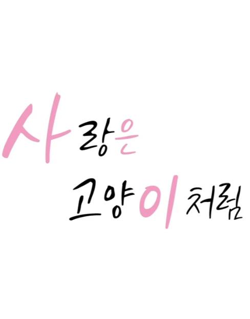 爱像一只喵封面图