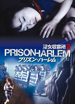 淫女收留所2封面图