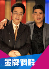 金牌调解封面图