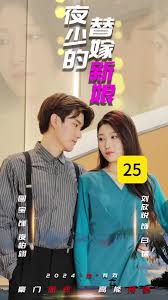 夜少的替嫁新娘封面图