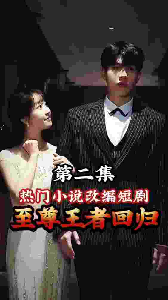 至尊王者归来封面图