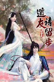 道友请留步封面图