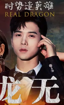 真龙无双封面图