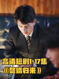 赘婿归来海报图片