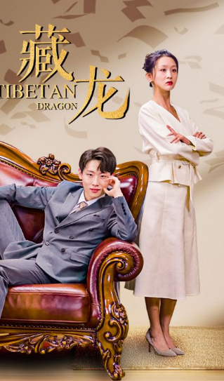 藏龙封面图