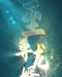 战神至尊龙婿封面图