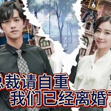 总裁请自重我们已经离婚了封面图