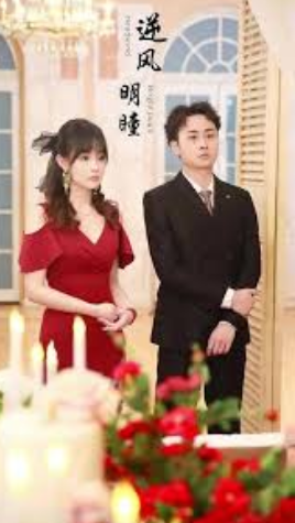 逆风明瞳封面图