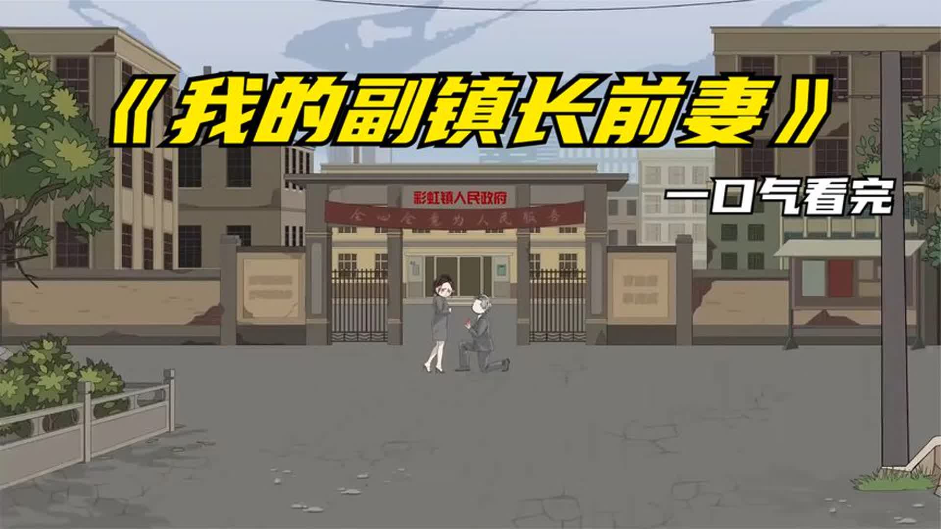 我的副镇长前妻封面图