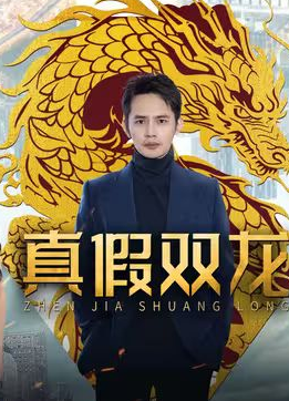 真假双龙 归龙 冒牌赘婿封面图