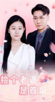 捡个老婆是首富封面图