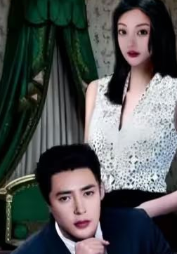 隐婚老公是富豪 隐婚对象是大佬封面图