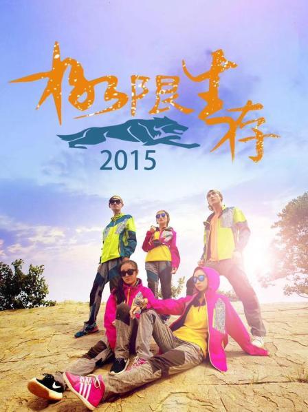 极限生存2015海报图片