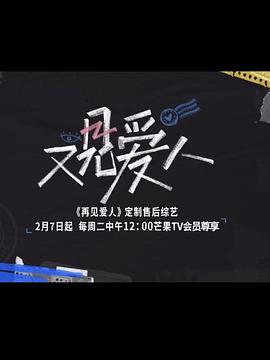 又见爱人封面图