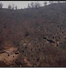 狩猎场·寄死窑封面图