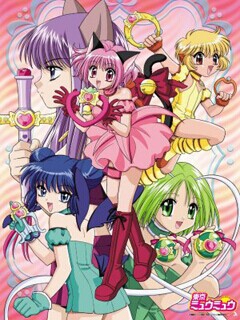 新东京猫猫封面图