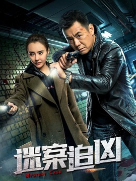 迷案追凶封面图
