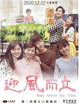 迎风而立封面图