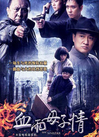 血雨母子情封面图