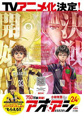 青之芦苇封面图