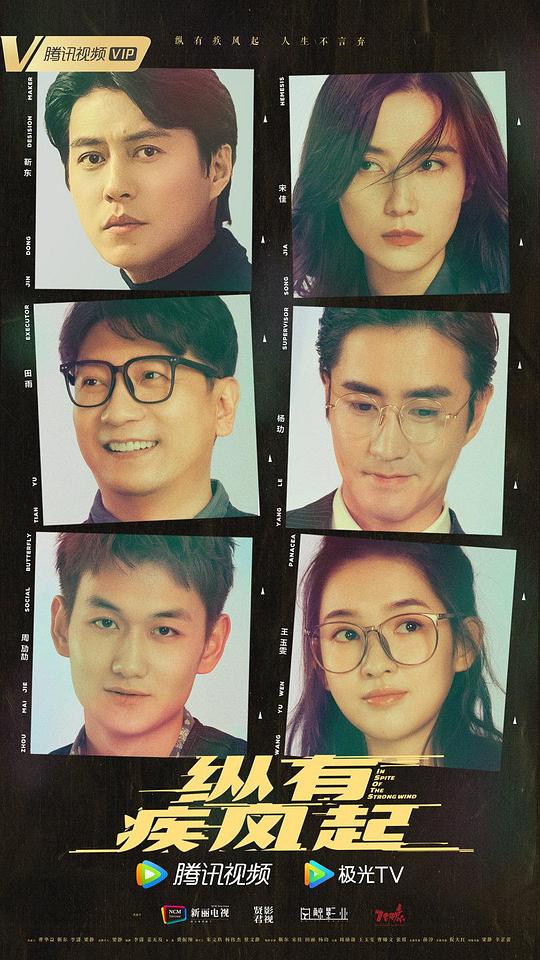 纵有疾风起封面图