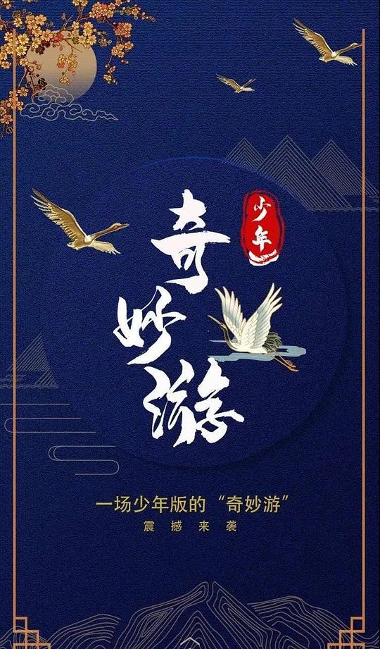 少年奇妙游封面图