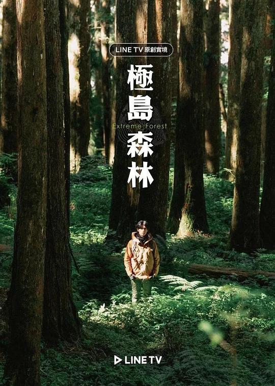 极岛森林封面图