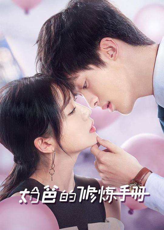 奶爸的修炼手册海报图片