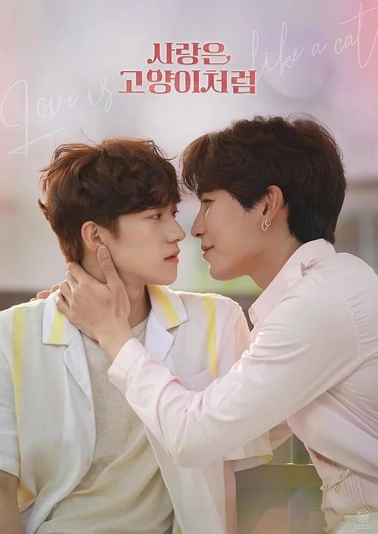 像猫一样的你封面图