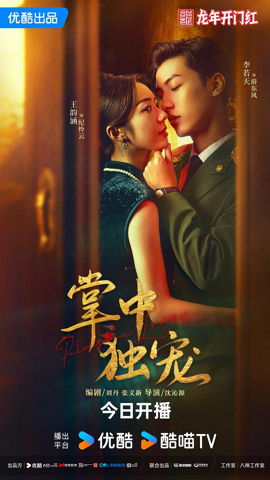 掌中独宠封面图